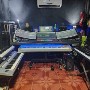 ຮັບເຮັດດົນຕີເກືອບທຸກແນວ